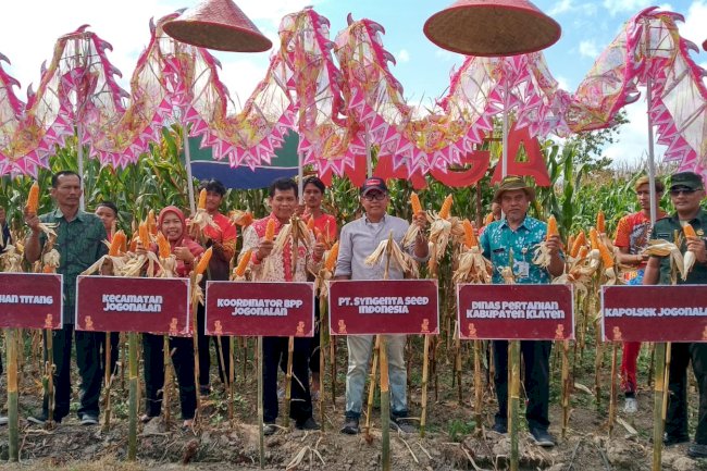 TEMU LAPANGAN (EXPO) Nk 7207 OLEH PT. SYGENTA INDONESIA