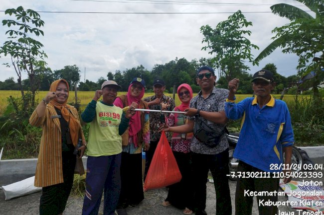 Panen Raya Padi Rojo Lele Srinuk di Desa Prawatan: Poktan Sari Pertiwi Catat Hasil Memuaskan