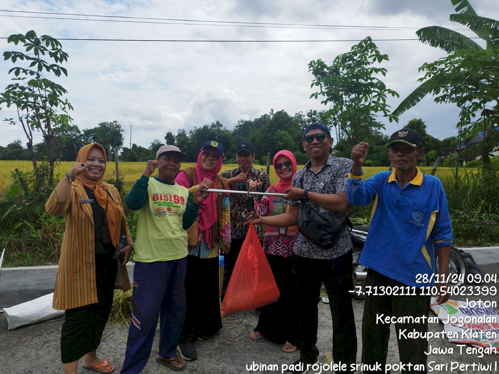 Panen Raya Padi Rojo Lele Srinuk di Desa Prawatan: Poktan Sari Pertiwi Catat Hasil Memuaskan